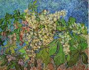 Vincent Van Gogh White Flowers with Blue Background painting